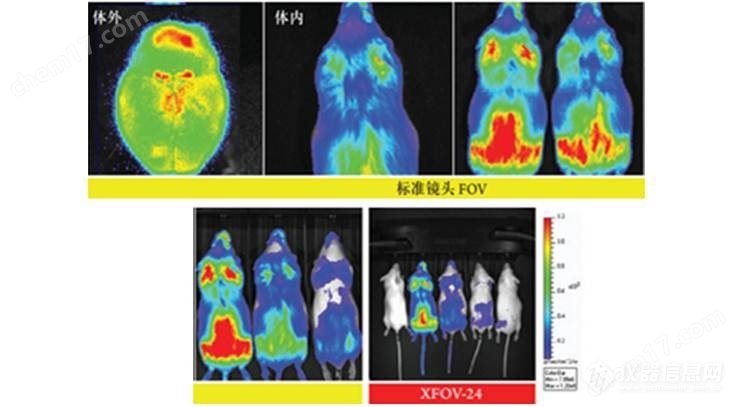 小动物活体光学成像系统