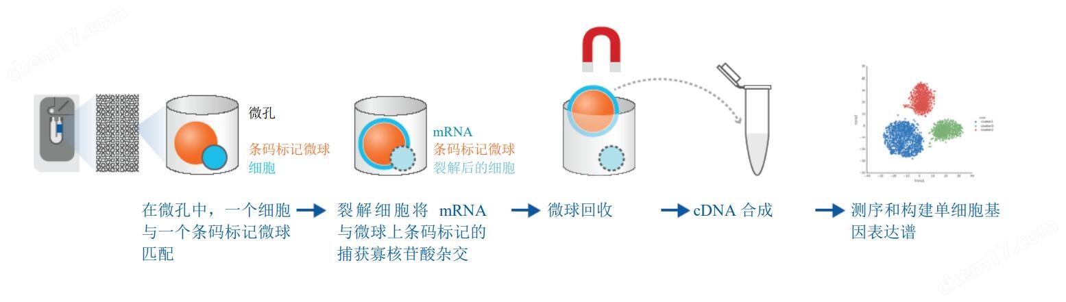 单细胞表达分析仪\系统