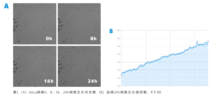 赛乐微 细胞智能监控助手 MN-100