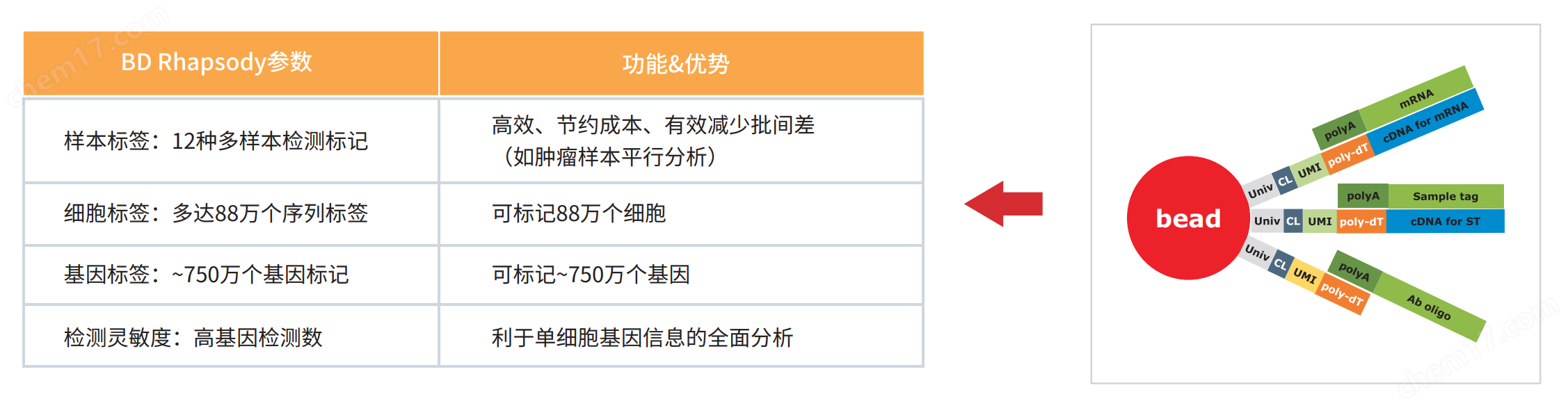 单细胞测序核心技术