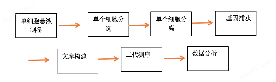 单细胞测序核心技术