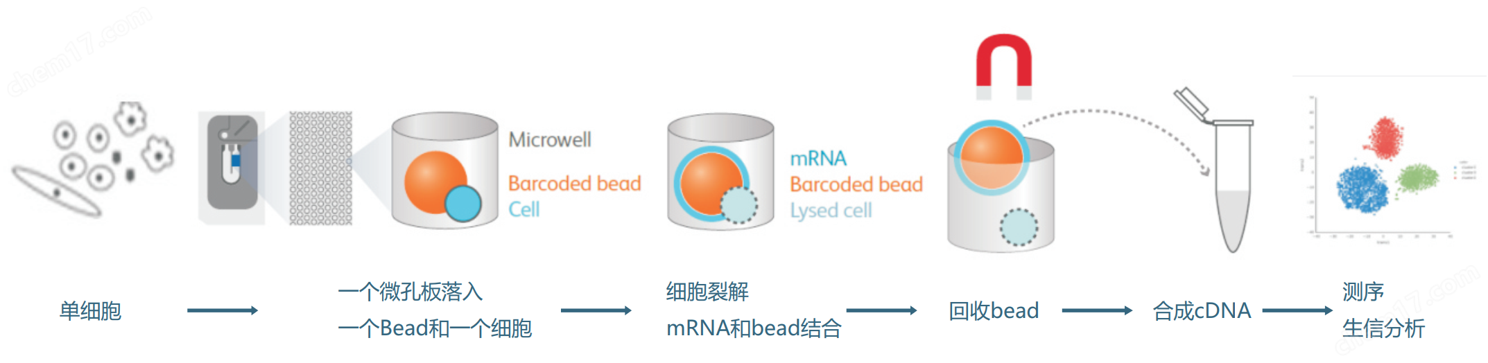 单细胞测序核心技术