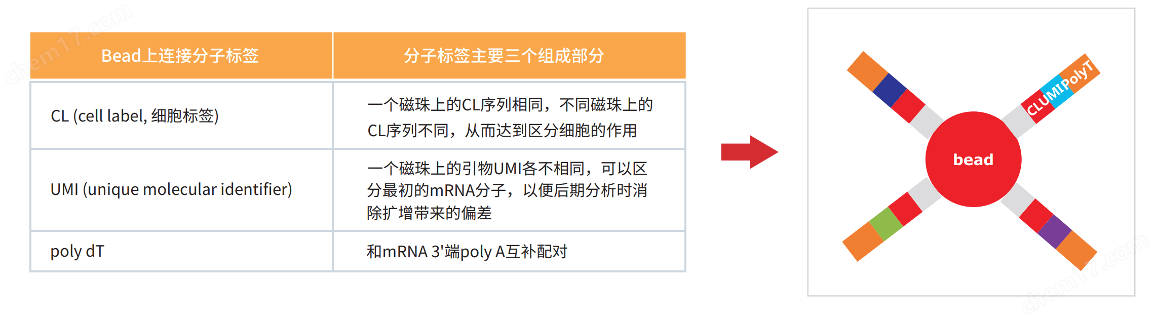 单细胞测序核心技术