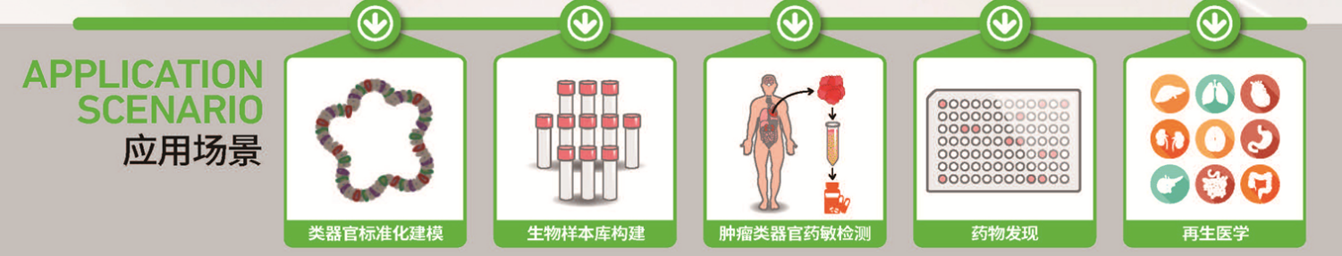 Hvita 3D活细胞自动灌流培养系统